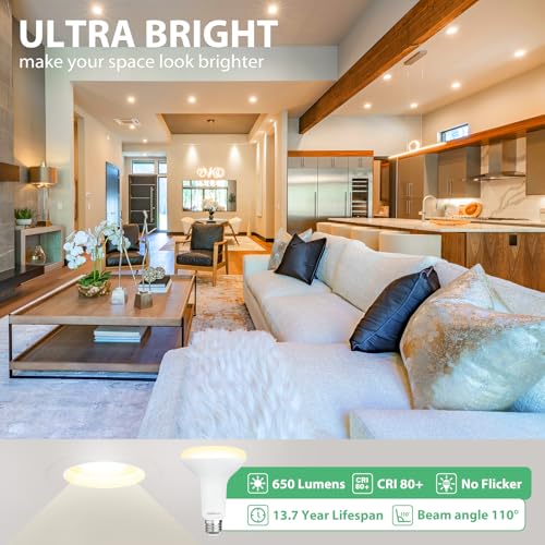 12 Pack BR30 LED Recessed Light Bulb (12 Count)