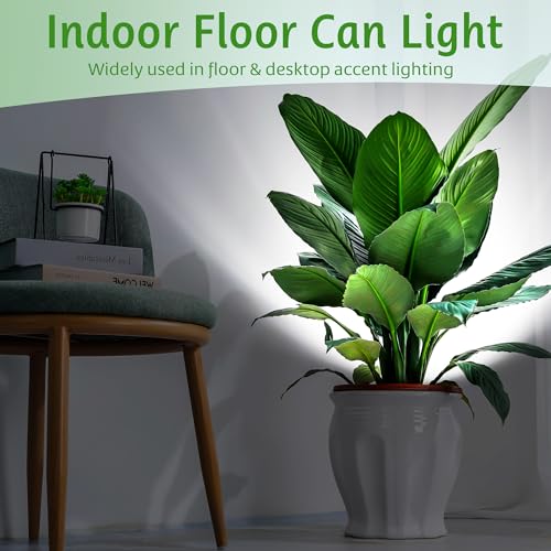 Spot Lights Clamp Indoor Spotlights