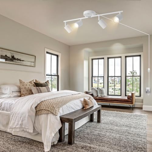 Dimmable Plug in Track Lighting