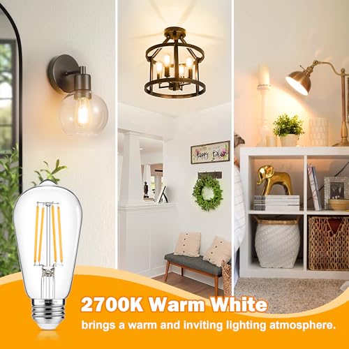 4 Pack Vintage Edison Bulbs 60W Equivalent (4 Count)