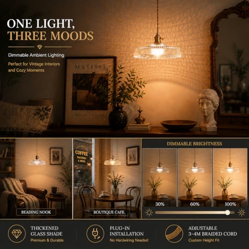 Vintage Plug in Pendant Light with Thickened Clear Glass Shade