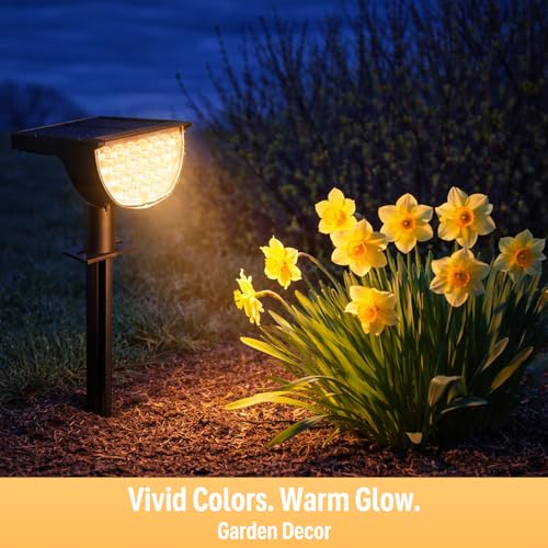 Solar Lights Outdoor Waterproof IP65 (4 Count)
