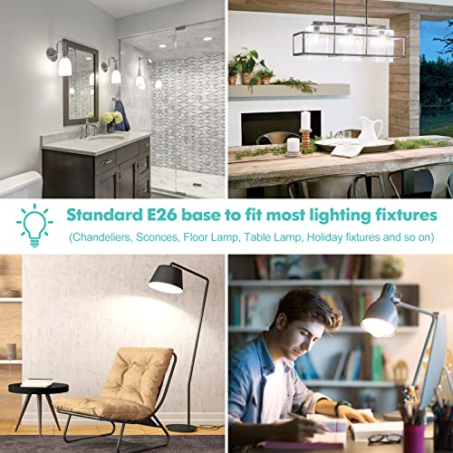 LED Light Bulbs (4 Count)