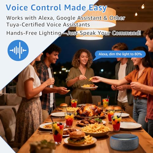 Smart WiFi Dimmer Switch for Alexa & Google Home