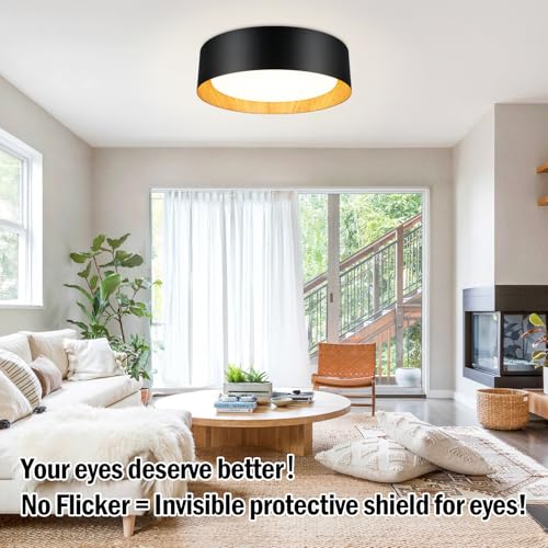 Flush Mount Ceiling Light