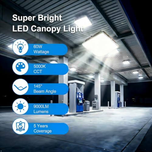 LED Canopy Light 60W (60W 6PACK)