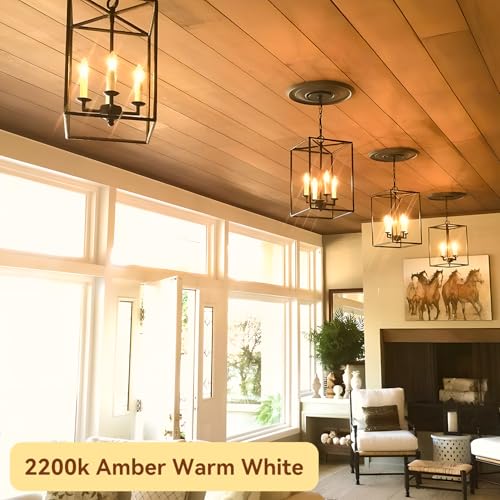 Candelabra LED Bulbs (12 Count)