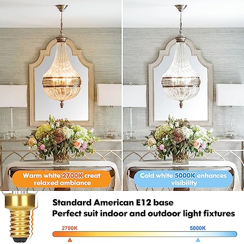 E12 4W Dimmable Candelabra LED Light Bulbs (12 Count)
