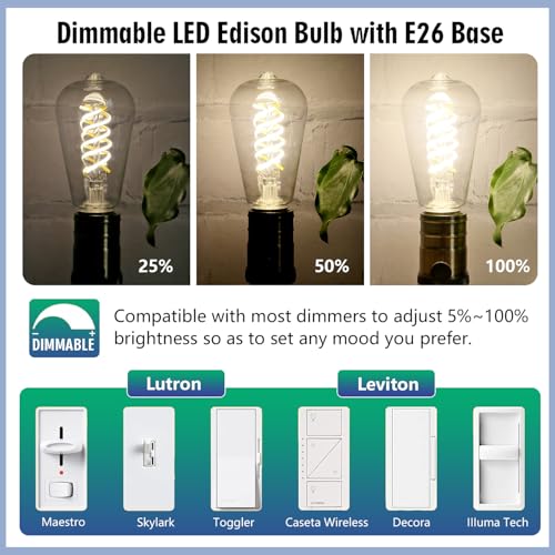 12Pack 60 Watt Equivalent Edison Light Bulbs (12 Count)
