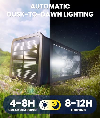 8 Pack Bright Solar Pathway Lights (8 Count)
