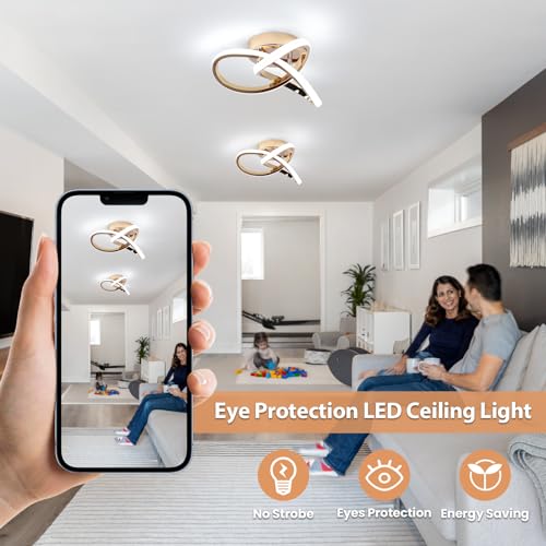 Modern LED Ceiling Light