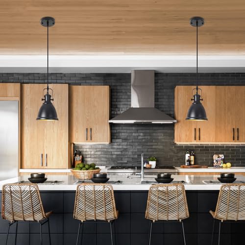 Black Pendant Light 2 Pack (2 Count)
