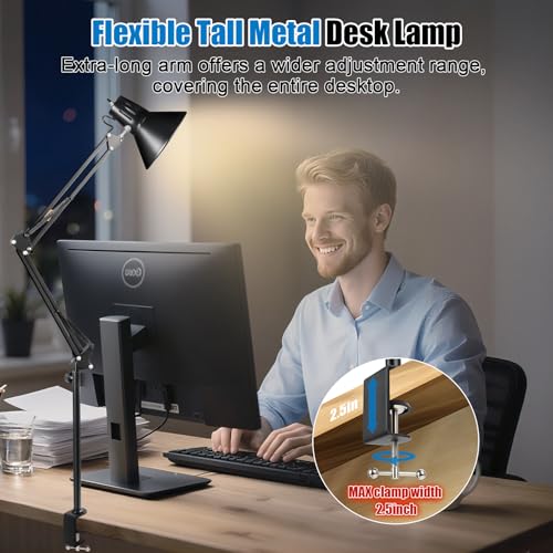 LED Clamp on Desk Lamp