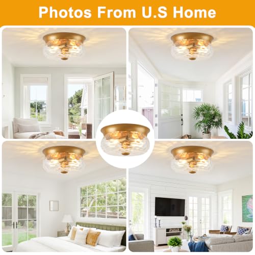 Gold Flush Mount Ceiling Light Fixtures (Gold-Clear Hammered Glass(No Assembly Required))