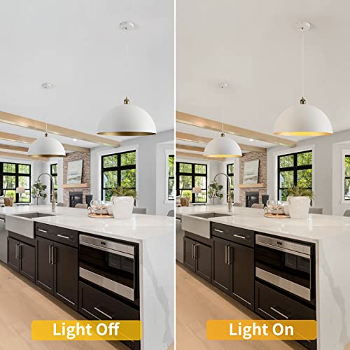 Modern Pendant Light