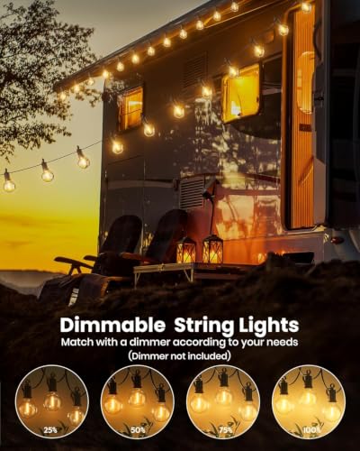 Outdoor String Lights (159 Foot)