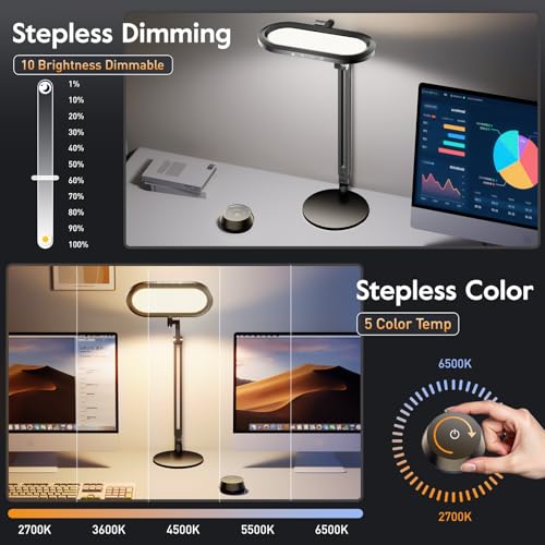 Premium LED Desk Lamp