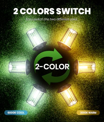 Solar Lights Outdoor Waterproof (8 Count)