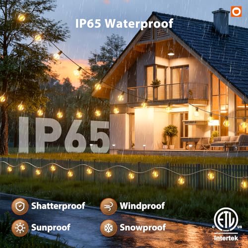 Outdoor String Lights 50FT G40 with Remote 27 LED Shatterproof Bulbs (50 Foot)