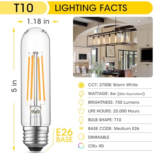 Dimmable E26 Edison Bulb (6 Count)