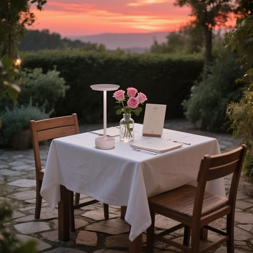 2 Pack Cordless Table Lamps Rechargeable (2 Count)