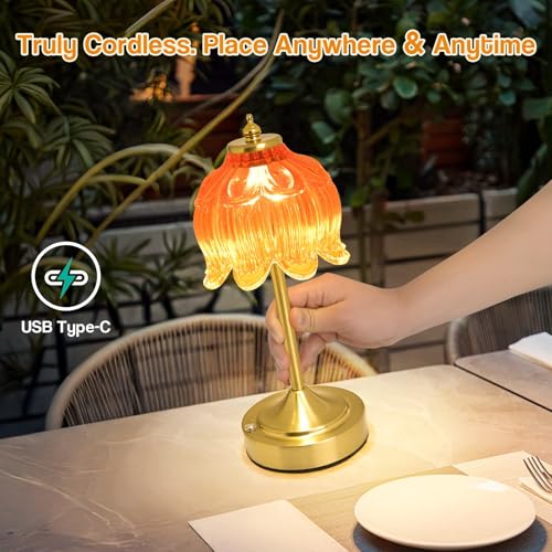 Cordless Table Lamp