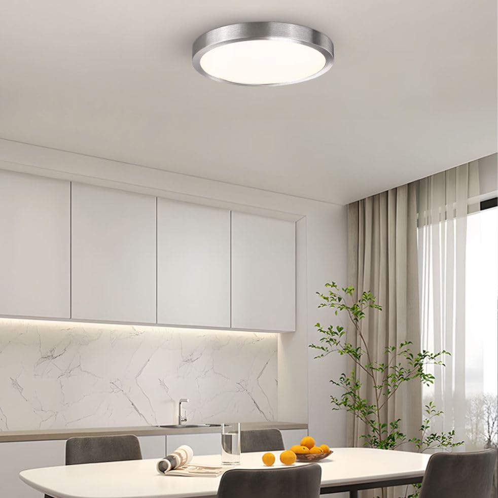 10 Inch LED Flush Mount Ceiling Light Fixture