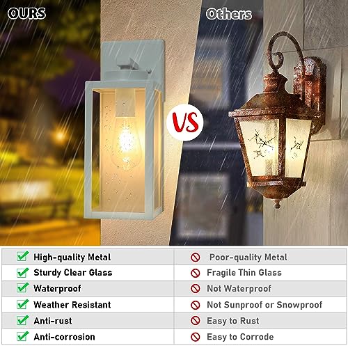 Outdoor Wall Light Fixtures (2 Count)