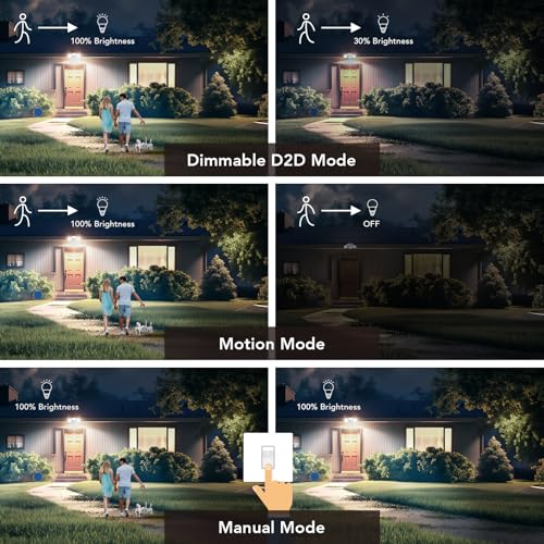 Motion Sensor Outdoor Lights