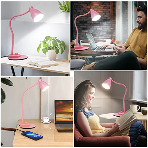Cute Desk Lamp with USB Charging Port