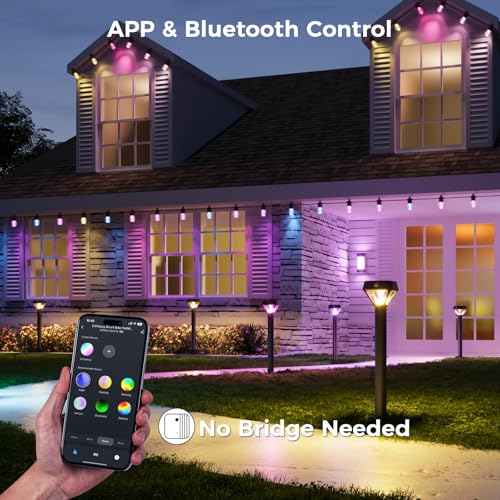 Smart Solar Pathway Lights