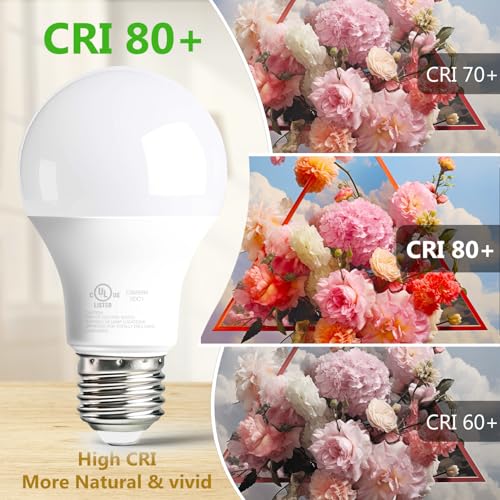 6 Pack A19 LED Bulbs (6 Count)