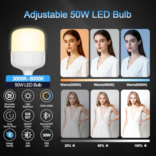 Softbox Lighting Kit with Grid