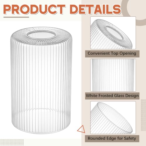 6 Pack Clear Ribbed Glass Lamp Shade 1 (6 Count)