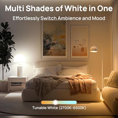 Smart Light Bulbs (6 Count)