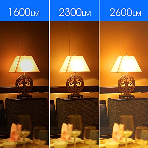 ENERGETIC SMARTER LIGHTING 150 Watt Light Bulb (2 Count)