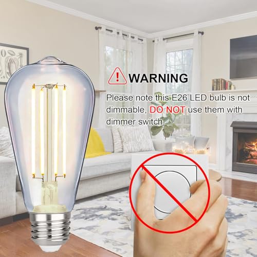 4 Pack Vintage LED Edison Bulbs (4 Count)