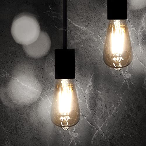 LED Edison Bulbs