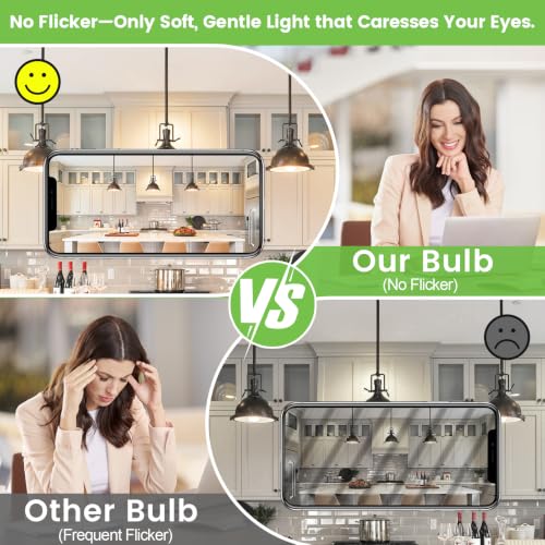 A19 LED Light Bulbs (4 Count)
