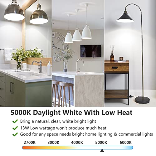 A19 LED Light Bulbs (30 Count)