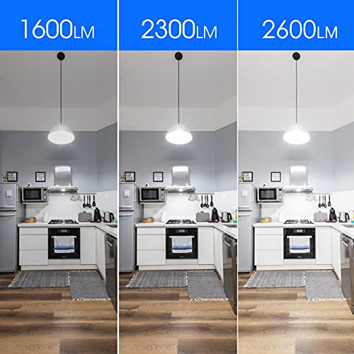 Super Bright Light Bulb 150 Watt Equivalent A21 LED Light Bulb (2 Count)