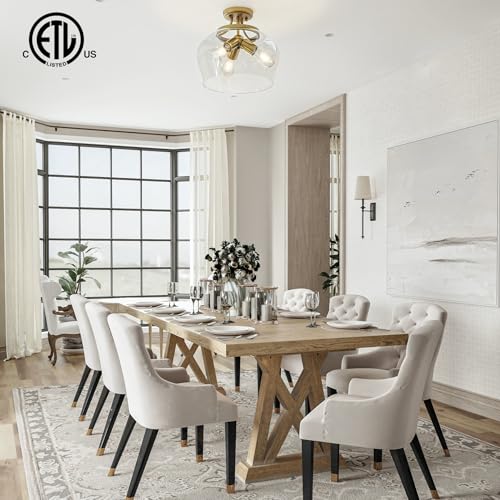 Semi Flush Mount Ceiling Light