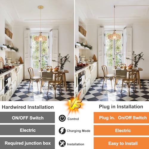 Plug in Pendant Light Hanging Light Fixtures with Plugin Cord On