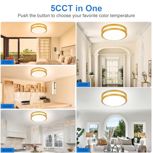 DLLT Flush Mount LED Ceiling Light