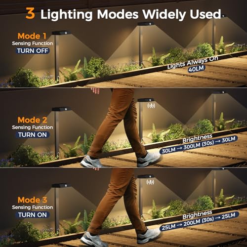 Solar Pathway Lights