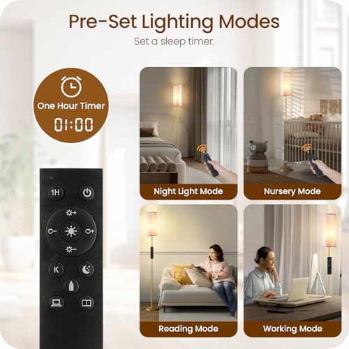 Dimmable Floor Lamps for Living Room with Remote and Foot Switch