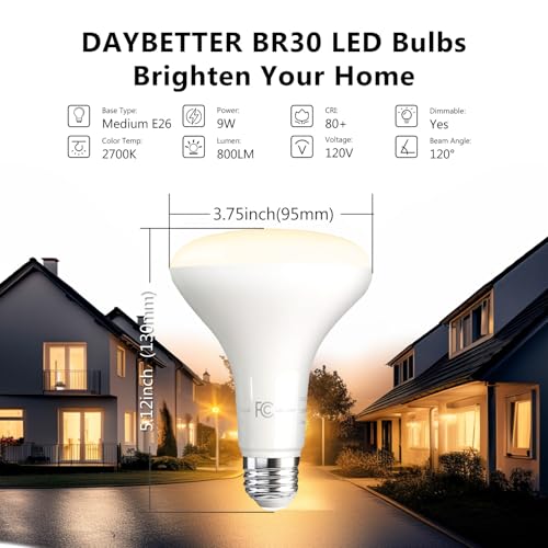 BR30 LED Light Bulbs