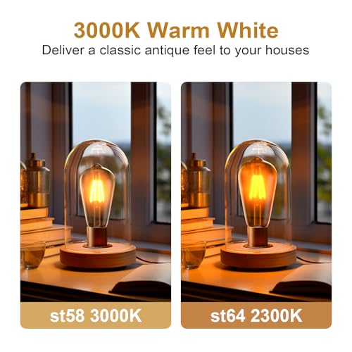 Edison Bulb ST58