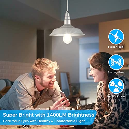 4 Pack Vintage LED Edsion Bulbs 100W Equivalent (4 Count)