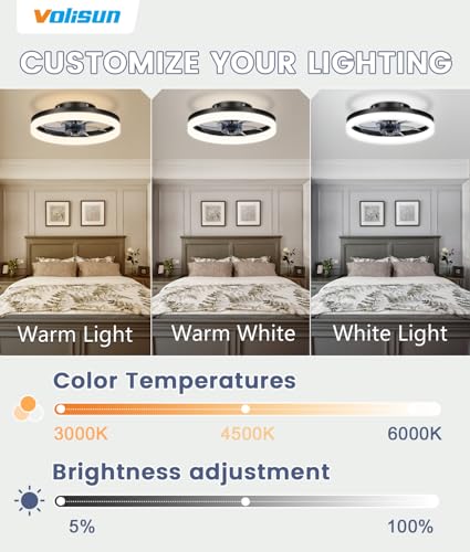 13 inch Small Ceiling Fans with Lights and Remote
